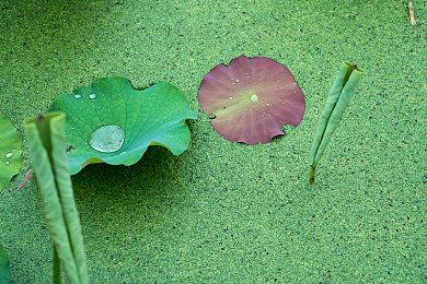 《时间旅者：重生曙光》发售预告 更深层恐惧